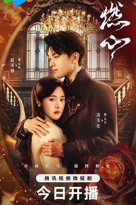 113影视网剧情篇大全